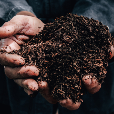 person holding organic fertilizer